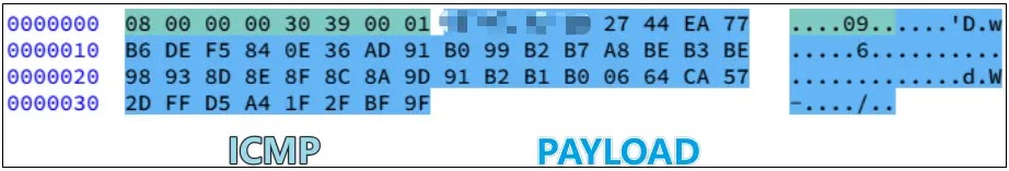 ICMP payload ICMP packet (Source - XLab)