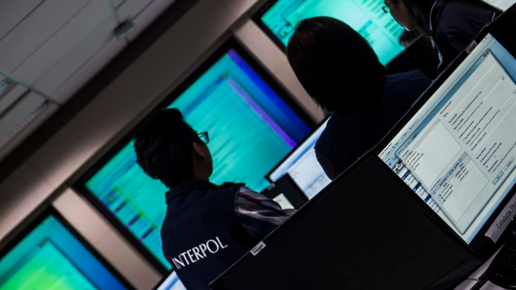 Interpol in cyber criminal